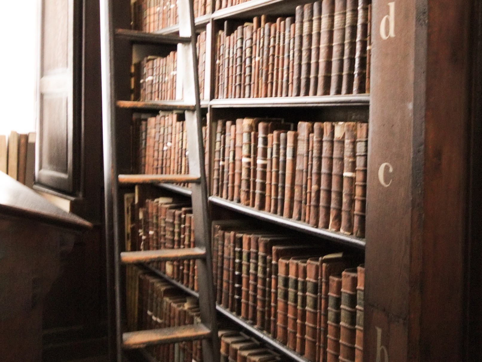 Leather bound books on an antique bookshelf to show what the Dark Academia aesthetic looks like